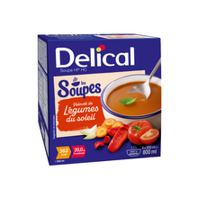 DELICAL SOUPE LEGUMES DU SOLEIL
