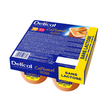DELICAL CREME SANS LACTOSE CARAMEL4*125G