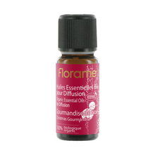 FLORAME composition Noel 10ml